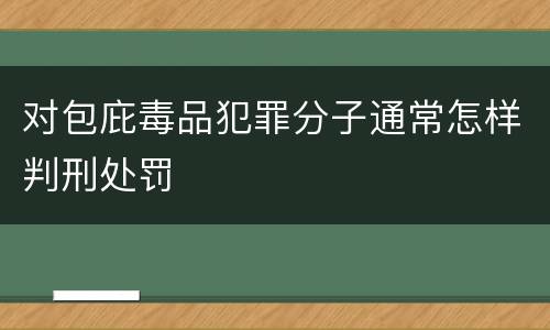 对包庇毒品犯罪分子通常怎样判刑处罚