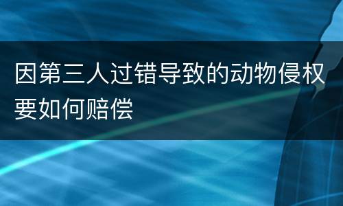 因第三人过错导致的动物侵权要如何赔偿