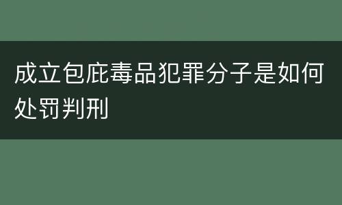 成立包庇毒品犯罪分子是如何处罚判刑