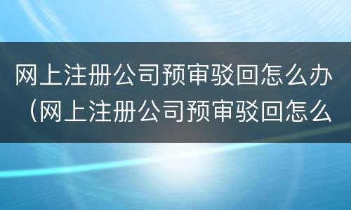 网上注册公司预审驳回怎么办（网上注册公司预审驳回怎么办啊）